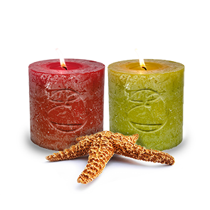 The Beach Life Candle Set